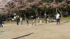 hana26 (329)_thumb.png